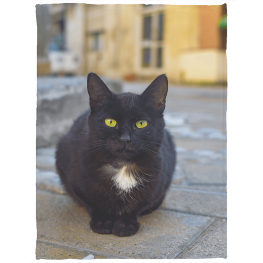 VPS Cozy Plush Fleece Blanket - 30x40